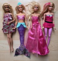 Barbie Puppen & Co plus diverses Zubehör Dresden - Striesen-Süd Vorschau