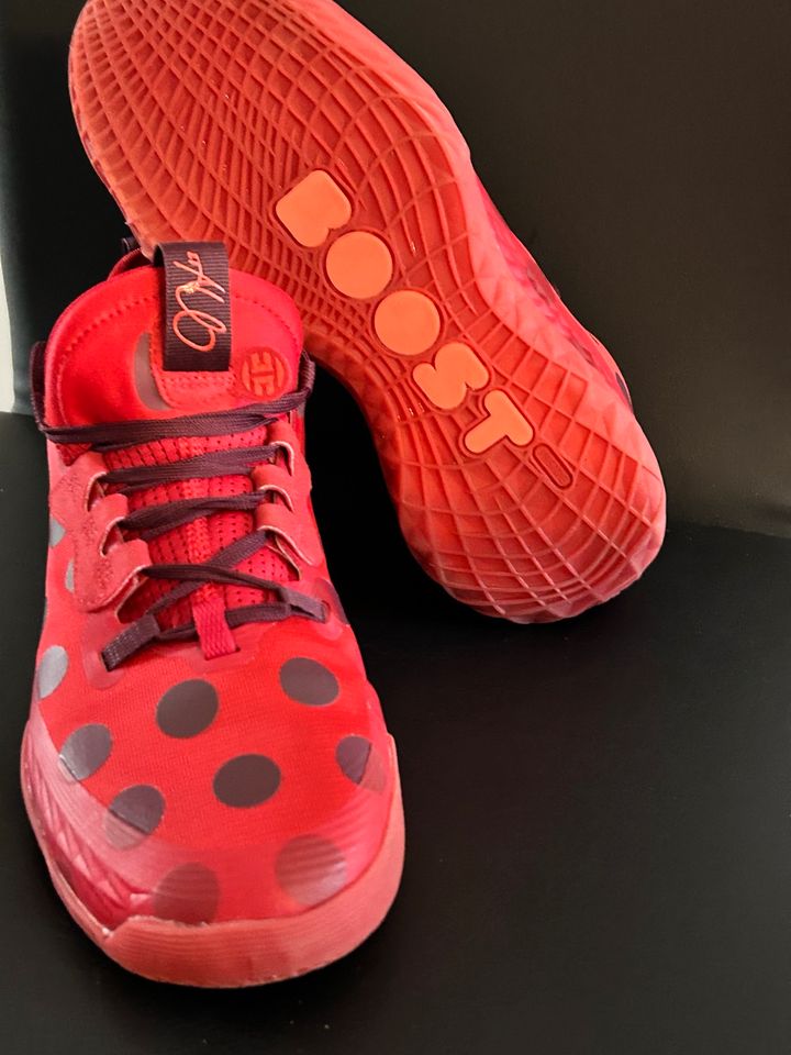 Adidas Harden Volume 5 Futurenatural Polka Dot (Special Edition) in Aachen