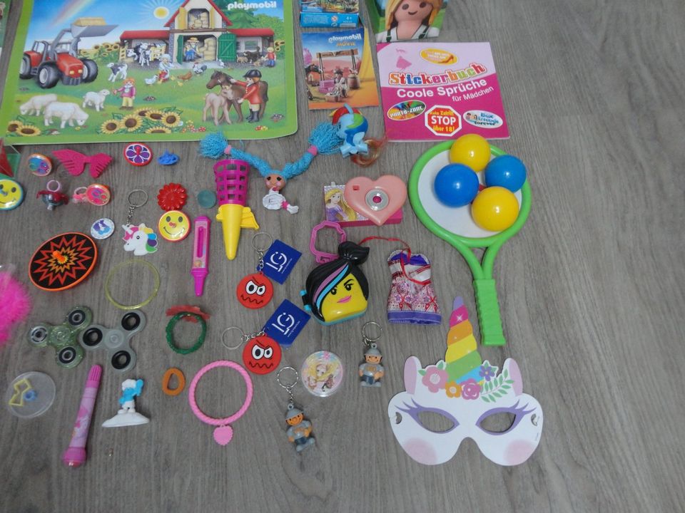 Mädchen Spielzeug Paket Set Konvolut Playmobil Frozen Puppe in Bitburg