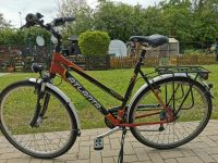 Damenfahrrad 28 Zoll Hessen - Bad Arolsen Vorschau