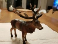 ♦️ großer Schleich Hirsch Alt Tier Bielefeld - Ubbedissen Vorschau