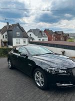 Jaguar XF 2012 SchiebeDach/AHK/TempoM./NAVI Nordrhein-Westfalen - Siegen Vorschau