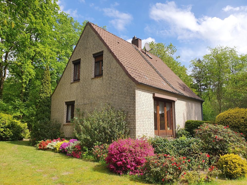 Einfamilienhaus Raum Büchen in Büchen