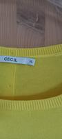 Leicht Sommer Pulli, CECIL.Grösse 42 Hessen - Neuhof Vorschau