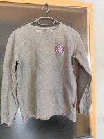 Pullover Sweatshirt FC Bayern München Brandenburg - Cottbus Vorschau