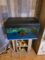 54 Liter Aquarium Niedersachsen - Schortens Vorschau