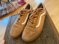 Vans Lederschuhe Skateschuhe Herren 44 Stuttgart - Stuttgart-Nord Vorschau