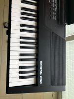 Alesis Recital Pro E Piano/Keyboard (Nur Abholung) Nordrhein-Westfalen - Meerbusch Vorschau