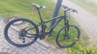 29" Fully Mtb Marin Rift Zone 7 Sachsen-Anhalt - Jeßnitz Vorschau