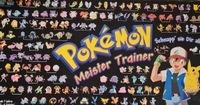 Ersatzteile Pokemon Meister Trainer Meistertrainer Nordrhein-Westfalen - Rösrath Vorschau