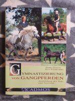 Gangpferde besser reiten Isländer Reitlehre Im Einklang Tölt DVD Hessen - Gemünden (Wohra) Vorschau