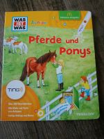 Was ist was junior "Pferde und Ponys" ab 4 Jahre, wie NEU! Schwerin - Weststadt Vorschau