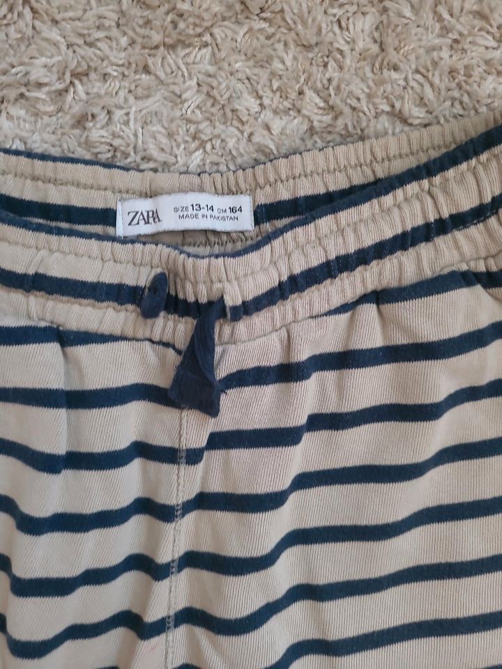 Zara Short / Gr 164 in Dresden