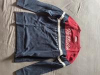 Hollister Sweatshirt Gr.M Hessen - Pohlheim Vorschau