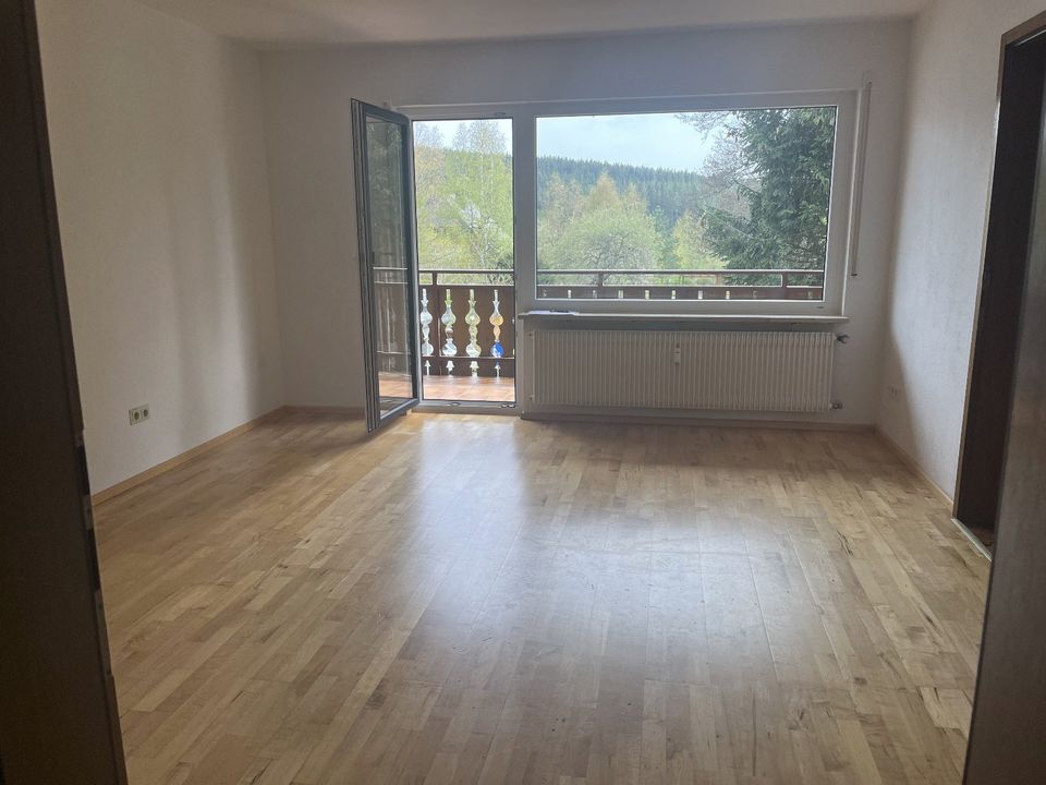 Schöne 1-Zi.-Wohnung mit Balkon und EBK in Schluchsee in Schluchsee