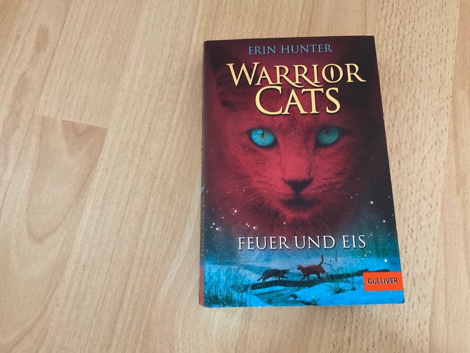 Warrior Cats Staffel 1 Band 1-6 in Lage