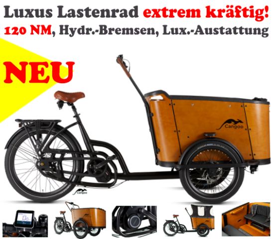 Neu Lastenrad Cargo Bike Kinder Transporter Lastenfahrrad Dreirad in Emmerich am Rhein