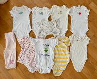 Babykleidung Bodies Body 10 Set Größe 68 Schleswig-Holstein - Lübeck Vorschau