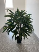 Kunstbaum Ficus mit Echtholzstamm zirka 80cm Baden-Württemberg - Mannheim Vorschau