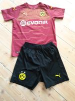 PUMA BVB  TRIKOT   REUS Hessen - Limburg Vorschau