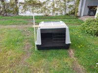 Hundebox XXL- Hunde Transport Box Nordrhein-Westfalen - Emmerich am Rhein Vorschau