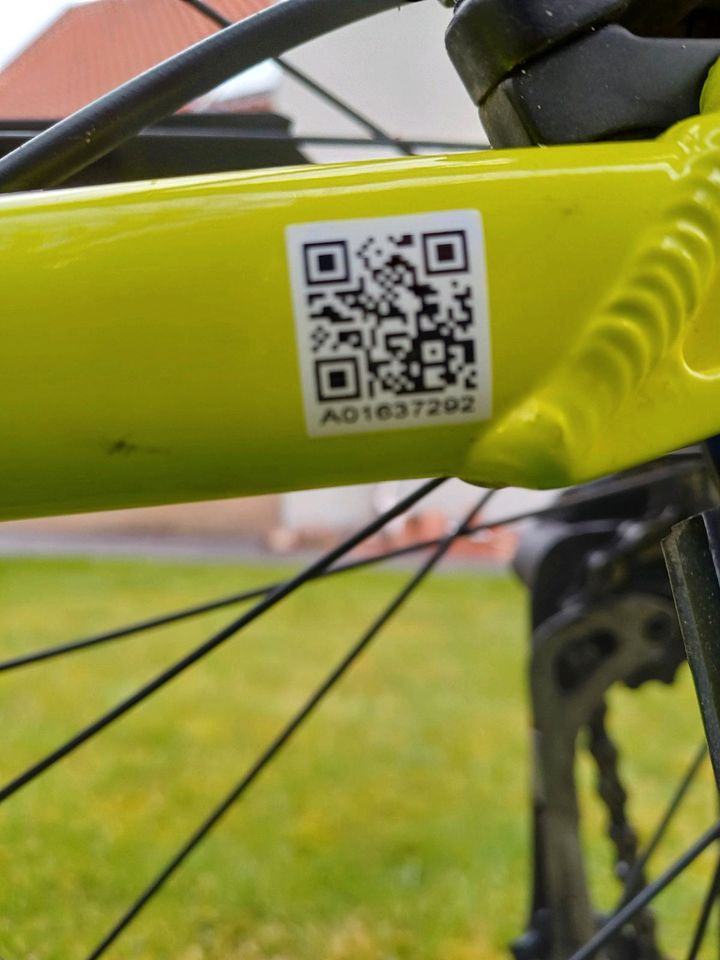 E-Bike Pegasus Solero grün gelb lime Ebike in Isenbüttel