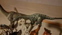 oGroße Sammlung Jurassic World Dinos Dinosaurier Nordrhein-Westfalen - Tönisvorst Vorschau