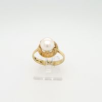 Akoya Perle Ring Gelbgold 585/14kt Gr. 55 Retro Schleswig-Holstein - Flensburg Vorschau