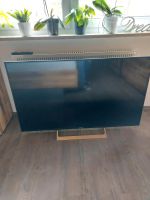 Sony Fernseher 55 Zoll Bayern - Kirchberg i. Wald Vorschau