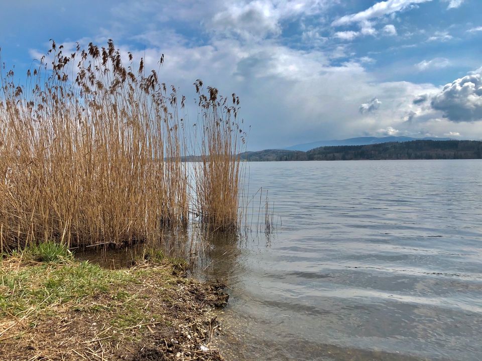 Lust auf Urlaub im goldenen Herbst zu den Genuss Wochen in Horn (bei Waging a See)