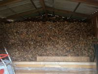 Ich verkaufe Kamin Holz 25 bis 30 cm Länge Mecklenburg-Vorpommern - Feldberg Vorschau