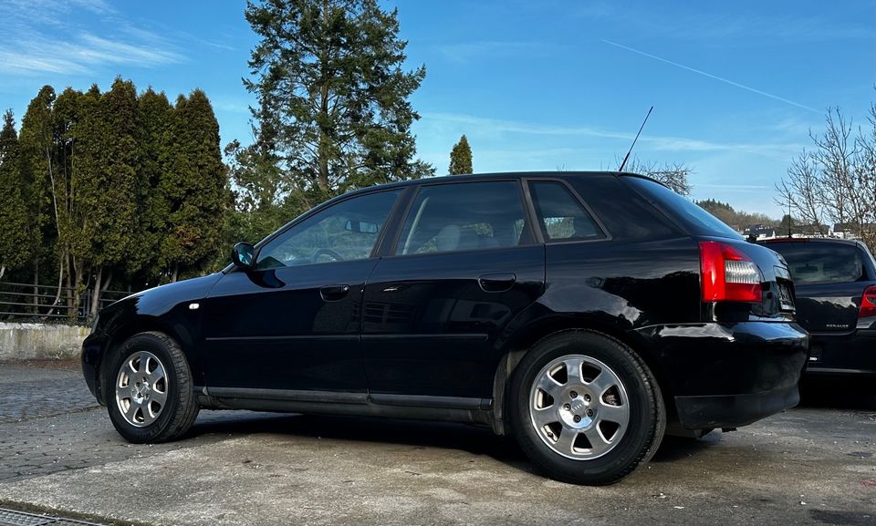 Audi A3 8L 1.6 5-türig Service + TÜV 2026 8-Fach bereift in Herborn