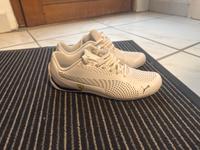 Puma Ferrari Sneaker (42) Wuppertal - Vohwinkel Vorschau