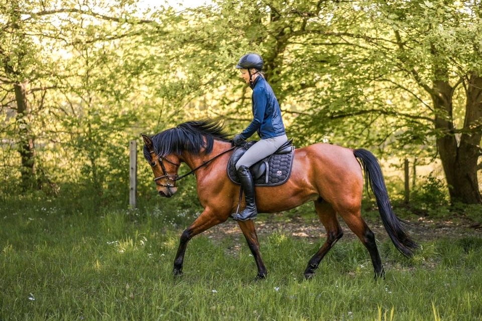 Mädchenpferd in beste Hände abzugeben in Raben Steinfeld