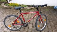 Mountainbike Fahrrad 26 Zoll Bayern - Kleinostheim Vorschau