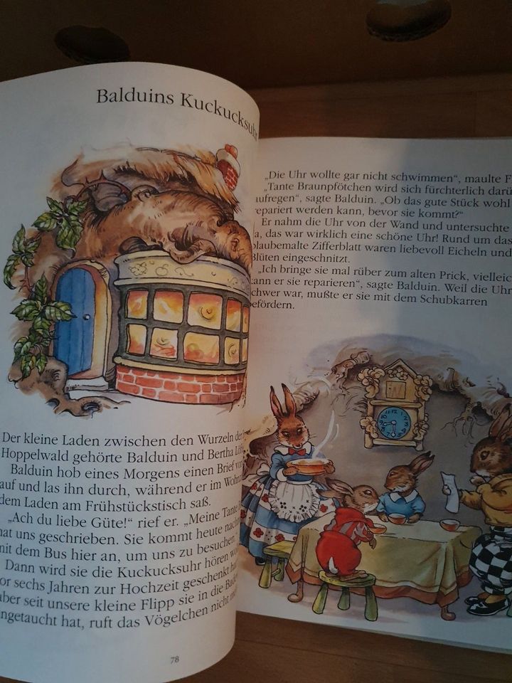 Kinderbuch Die Waldmaus Minchen und ihre Freunde in Halle