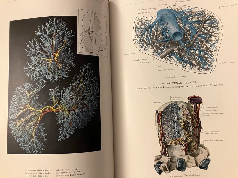 Anatomischer Atlas des menschlichen Körpers | Band 1-3 | 1971 in Köln