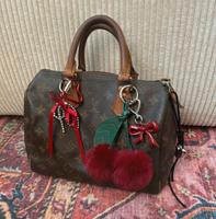 Louis Vuitton Speedy 25 Nordrhein-Westfalen - Havixbeck Vorschau