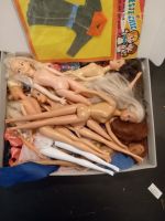 Einen Karton mit Puppen und Puppenkleider, Hessen - Gelnhausen Vorschau