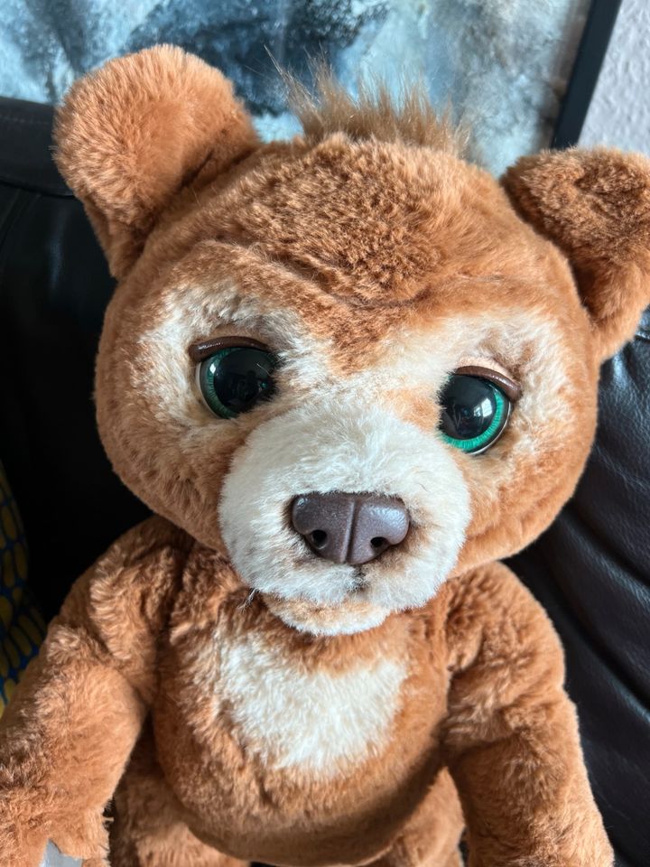 ❤️ FurReal Cubby Hasbro Bär in Neukirchen/Erzgeb