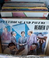 Ca. 270 - 290 Vinyl Schallplatten LP's zu verkaufen Bayern - Poing Vorschau