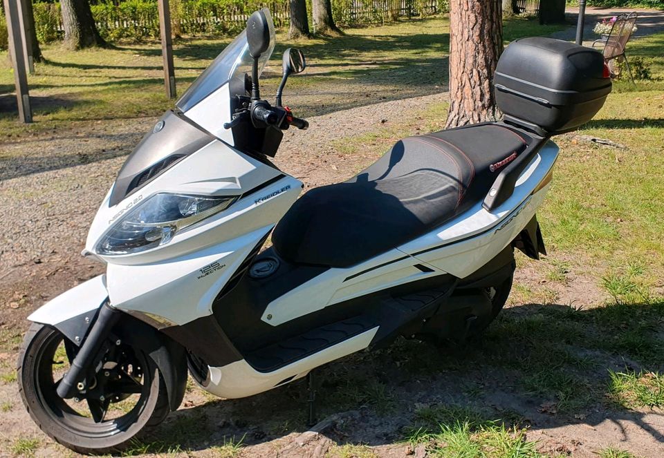 ‼️Kreidler Insignio 2.0 125ccm Motorrad Roller‼️ Steuerfrei ‼️ in Wedemark