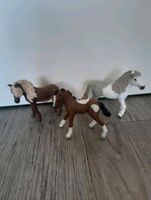 SCHLEICH / KLEINE PFERDE Dresden - Kleinzschachwitz Vorschau