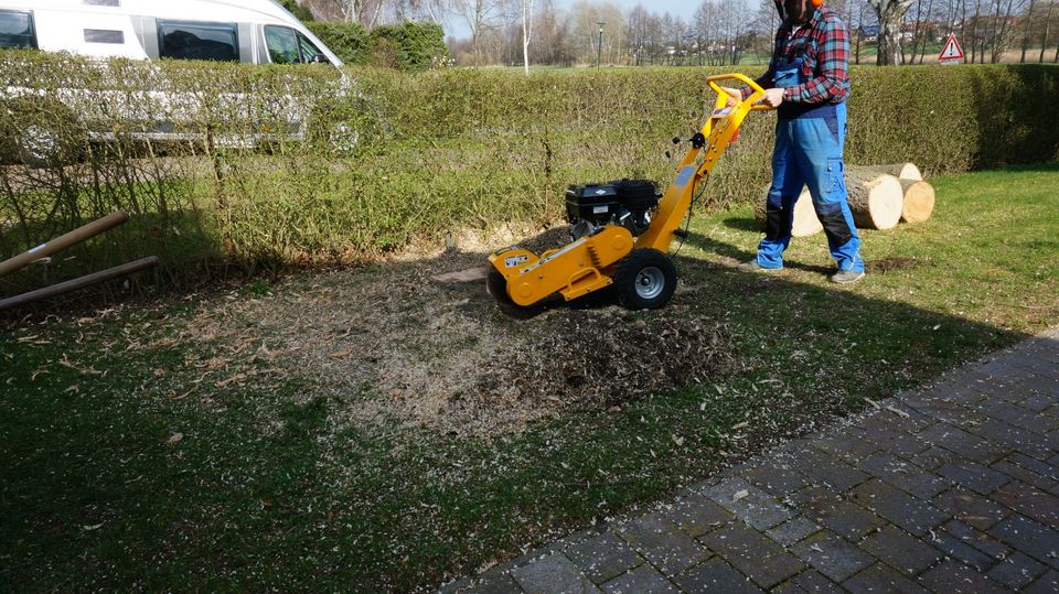 Wurzelfräsen Stubbenfräsen u.Wurzel Entfernung Hausmeisterservice in Stavenhagen