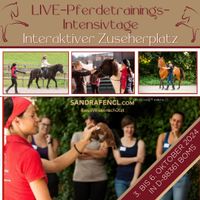 Zuseherplatz Live-Pferdetrainings-Intensivtage 3.-6. Oktober 2024 Kr. München - Grünwald Vorschau