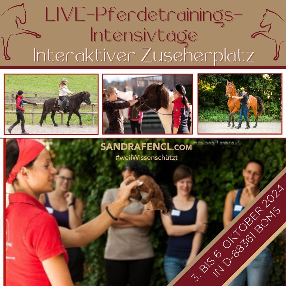 Zuseherplatz Live-Pferdetrainings-Intensivtage 3.-6. Oktober 2024 in Grünwald