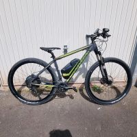 Univega E-Bike 29 Rahmengröße 42 * neuwertig 545 km Mountainbike Bayern - Lohr (Main) Vorschau