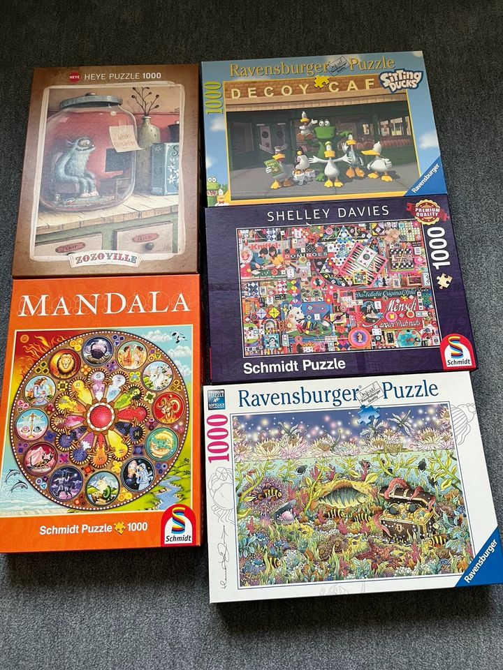 25 Puzzle Heye, Ravensburger, Schmidt Wasgij lesen in Wolfsburg