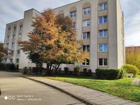 1-Raumwohnung mit Küche| Aufzug | Parkplatz Sachsen-Anhalt - Wolfen Vorschau