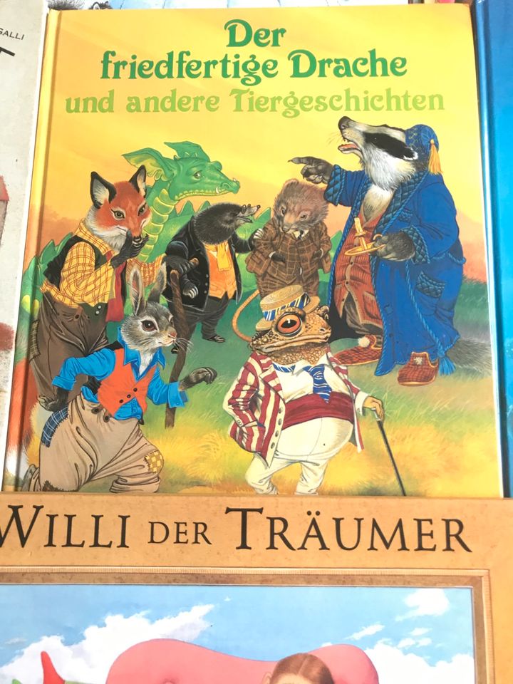 Bilderbücher Kinderbücher Paket Sammlung in Leer (Ostfriesland)